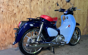 HONDA  SUPER CUB C125 JA48