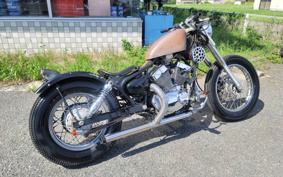 YAMAHA VIRAGO 250 3DM