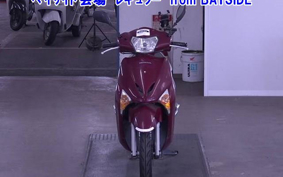 OTHER  LEAD 110EX