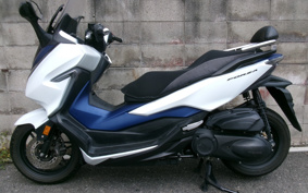 HONDA  FORZA 250 MF13