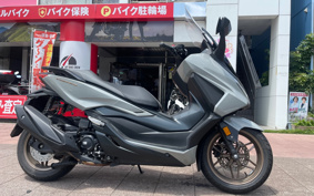 HONDA  FORZA 250 MF17