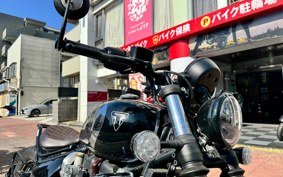 TRIUMPH  TRIUMPH  BONNEVILLE BO BAR  2023 DAD84H