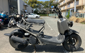 HONDA ZUMAR AF58