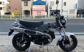 HONDA  DUX 125 JB04