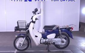 OTHER C110-3