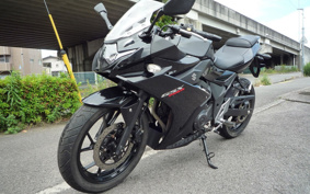 SUZUKI GSX250R DN11A