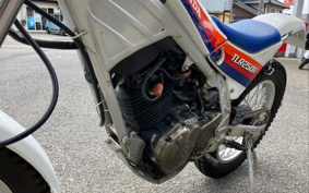 HONDA TLR250R MD18