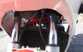 YAMAHA RZ250RR 29L