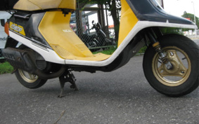 YAMAHA  CHAMP  54V
