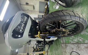 HARLEY HARLEY FLTRXSE1800CVO 2021 TCL