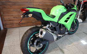 KAWASAKI NINJA 250 EX250L