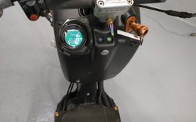 HONDA ZUMAR AF58