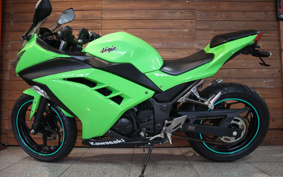 KAWASAKI NINJA 250 EX250L