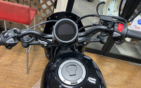 HONDA  REBEL 250 S-ED E-CLUTCH MC49