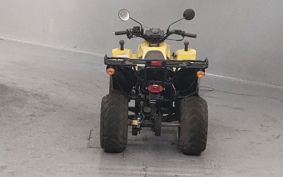OTHER 4 WHEEL BUGGY 