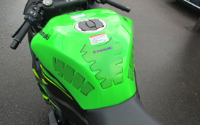 KAWASAKI NINJA ZX-6R 2019 ZX636G