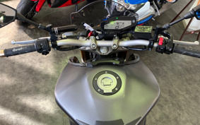 YAMAHA MT-09 2014 RN34J