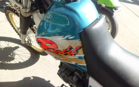 YAMAHA TT250RRAID 4GY