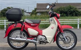 HONDA  SUPER CUB C125 JA58