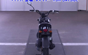 HONDA ZUMAR