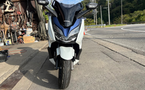 HONDA  FORZA 250 MF13