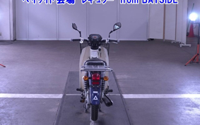OTHER C110PU LOW 3