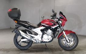 YAMAHA YBR250 PCNL