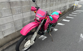 KAWASAKI KDX250SR DX250F