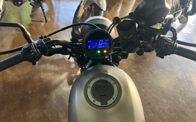 HONDA  REBEL 250 ABS MC49