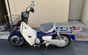 HONDA SUPER CUB110 JA61