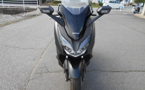 HONDA  FORZA 250 MF13