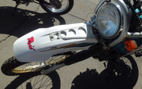 YAMAHA TT250RRAID 4GY