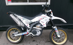 YAMAHA WR250X DG15J
