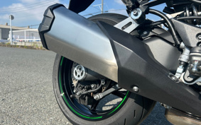 KAWASAKI NINJA 1000 SX 2024 ZXT02K
