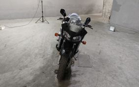 YAMAHA FZS1000 FEATHER RN07