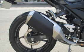 KAWASAKI Z250ABS