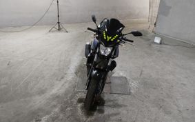 YAMAHA MT-25 RG43J