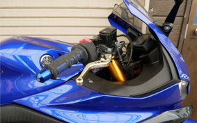 YAMAHA YZF-R25 ABS RG43J