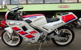 YAMAHA FZR250 2KR