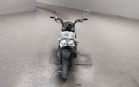 HONDA ZUMAR AF58