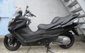 SUZUKI SKYWAVE 250S-1 CJ46A