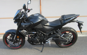 YAMAHA MT-25 RG74J