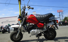 YAMAHA POCKET50 4U1