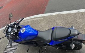 SUZUKI GSX250R DN11A