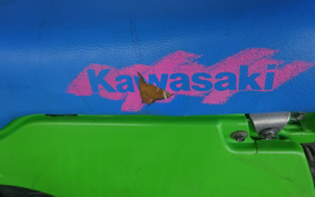 KAWASAKI KDX200SR DX200G