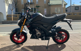 KAWASAKI Z125 PRO BR125H