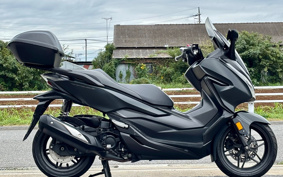 HONDA  FORZA 250 MF13