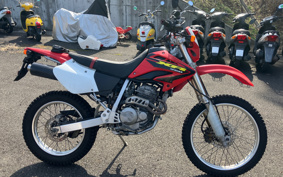 HONDA XR250 MD30