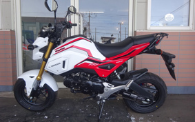 HONDA GROM JC75