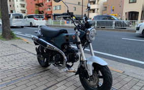 HONDA  DUX 125 JB04